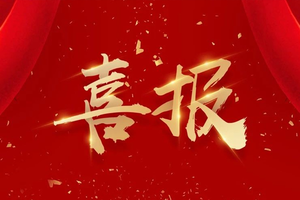 友誼咨詢榮獲湖南省建設工程監理企業資信評價第一名